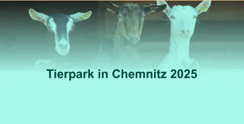 Tierpark in Chemnitz 2025