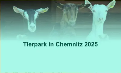 Tierpark in Chemnitz 2025