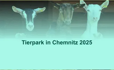 Tierpark in Chemnitz 2025
